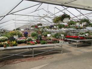 Gartencenter Michael Mohr - Außenanlage Standort Todesfelde