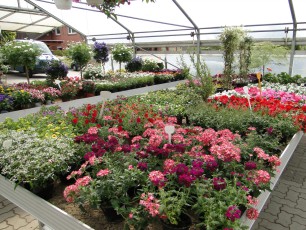 Gartencenter Michael Mohr - Außenanlage Standort Todesfelde