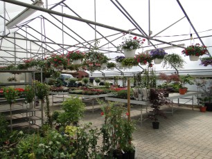 Gartencenter Michael Mohr - Außenanlage Standort Todesfelde