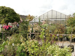 Gartencenter Michael Mohr - Außenanlage Standort Todesfelde