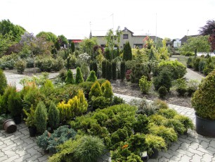 Gartencenter Michael Mohr - Außenanlage Standort Todesfelde